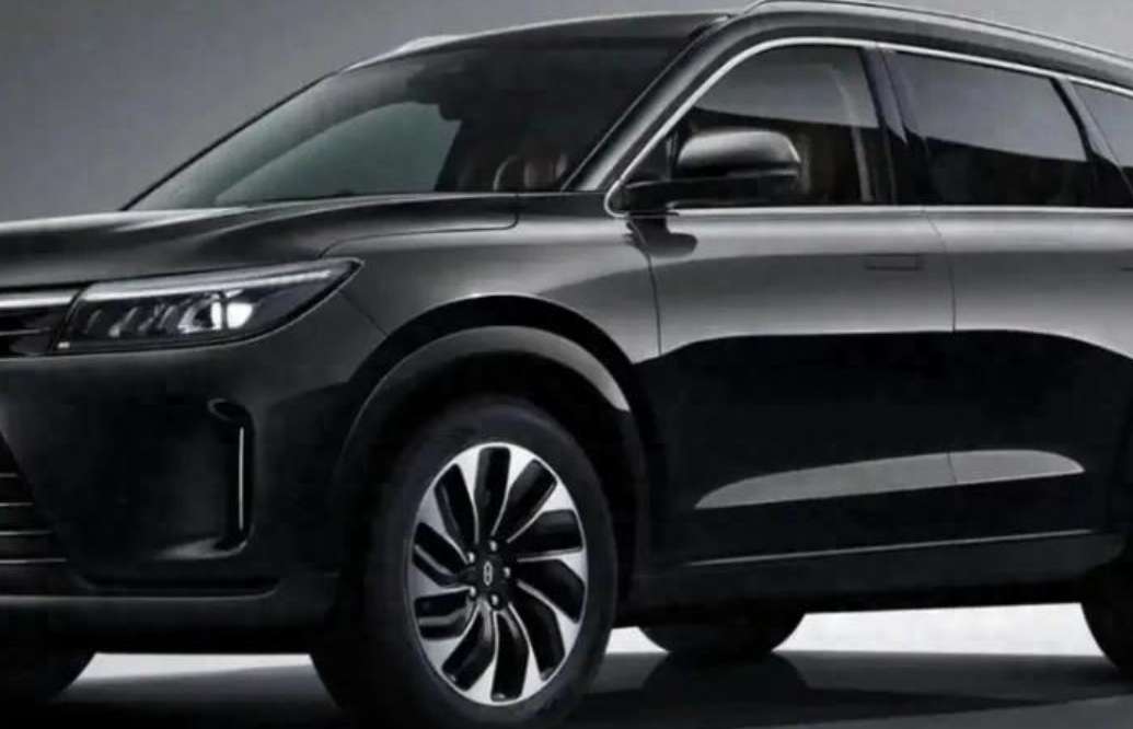 Domestic New Energy Vehicles Make a Comeback!